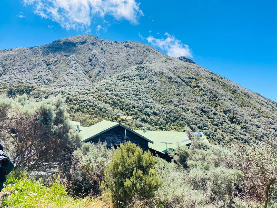 Mount Kilimanjaro trekking landscape